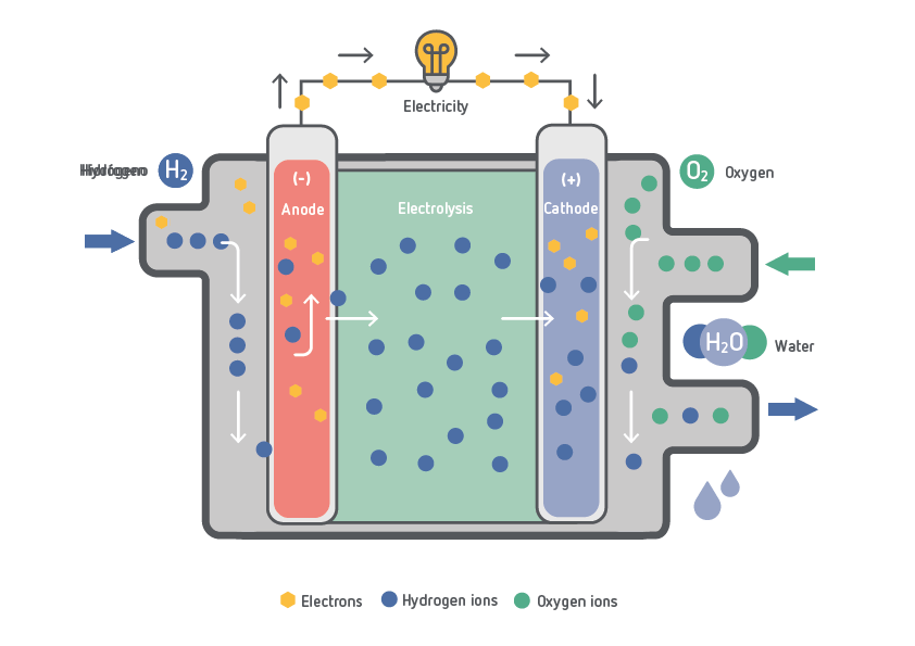 HYDROGEN FUEL CELL